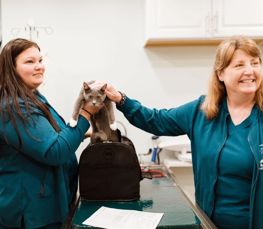 Advanced Medicine & Senior Care