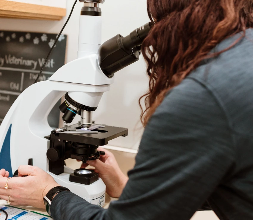 Testing & Diagnostics