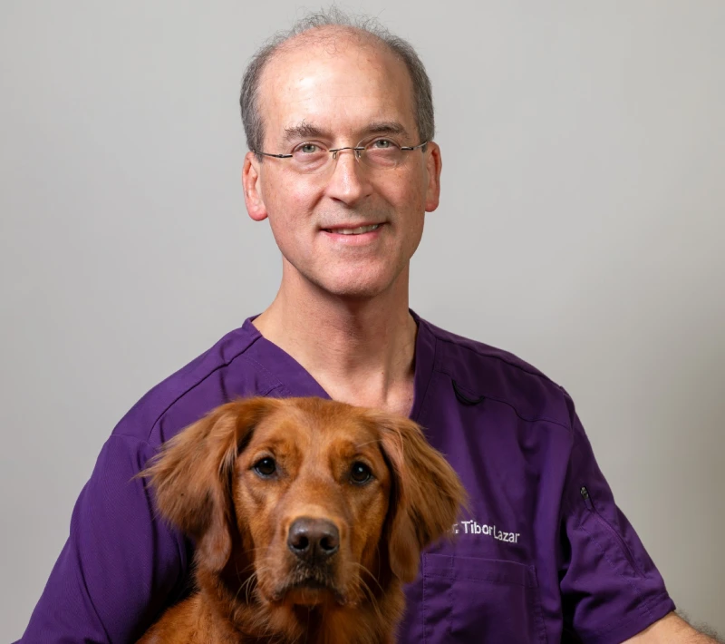Dr. Tibor Lazar